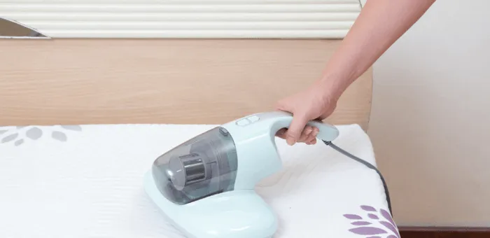 ทำความสะอาดบ้านที่มีเด็กหรือสัตว์เลี้ยง ควรใช้น้ำยาแบบไหน